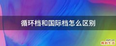 循环档和国际档怎么区别