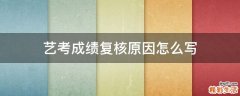 艺考成绩复核原因怎么写