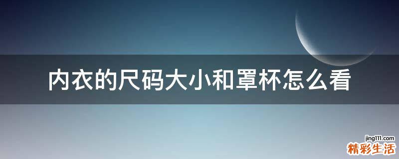 内衣的尺码大小和罩杯怎么看