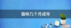 猫咪几个月成年