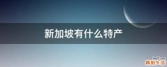 新加坡有什么特产
