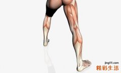 男的小腿太粗怎么办 脂肪过多和肌肉太大的解决方法