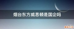 烟台东方威思顿是国企吗