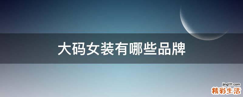 大码女装有哪些品牌