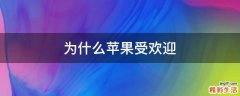 为什么苹果受欢迎