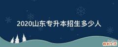 2020山东专升本招生多少人
