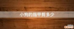 小狗的指甲剪多少