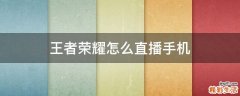 王者荣耀怎么直播手机