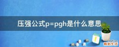 压强公式p=pgh是什么意思