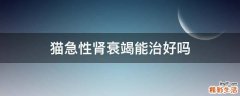 猫急性肾衰竭能治好吗