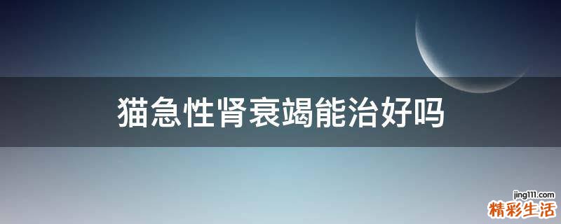 猫急性肾衰竭能治好吗