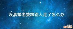 没离婚老婆跟别人走了怎么办
