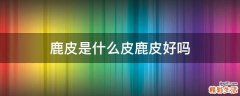 鹿皮是什么皮鹿皮好吗