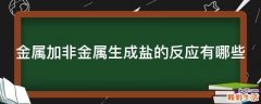 金属加非金属生成盐的反应有哪些