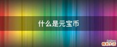 什么是元宝币