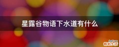 星露谷物语下水道有什么