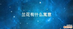 兰花有什么寓意
