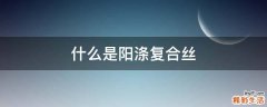 什么是阳涤复合丝