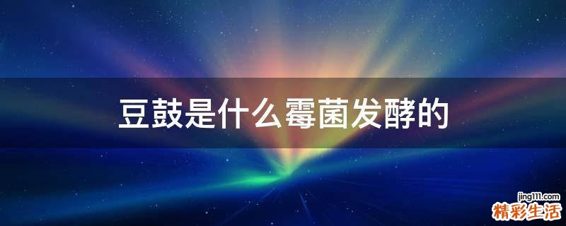 豆鼓是什么霉菌发酵的