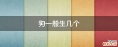 狗一般生几个