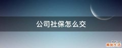 公司社保怎么交