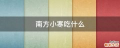 南方小寒吃什么