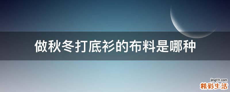 做秋冬打底衫的布料是哪种