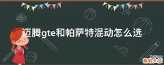 迈腾gte和帕萨特混动怎么选