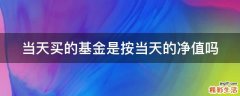 当天买的基金是按当天的净值吗
