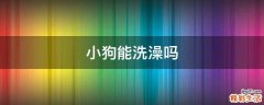 小狗能洗澡吗