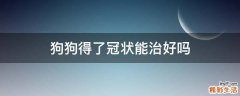 狗狗得了冠状能治好吗