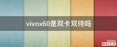 vivox60是双卡双待吗