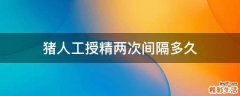猪人工授精两次间隔多久