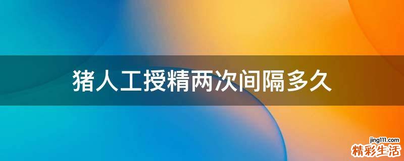 猪人工授精两次间隔多久