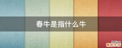 春牛是指什么牛