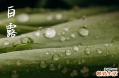 2023年白露是什么时候到什么时候