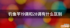 钓鱼竿19调和28调有什么区别