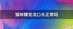 猫咪睡觉流口水正常吗