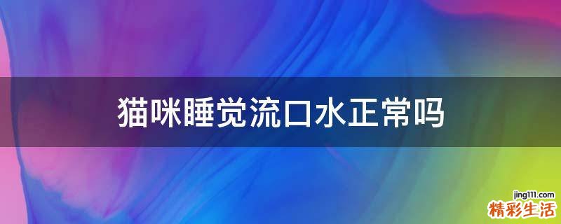 猫咪睡觉流口水正常吗
