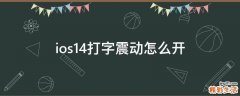 ios14打字震动怎么开