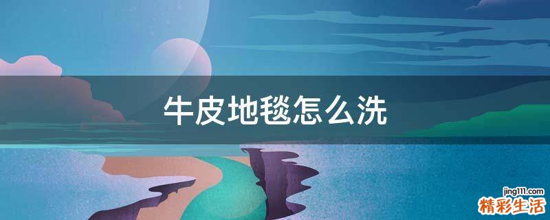 牛皮地毯怎么洗