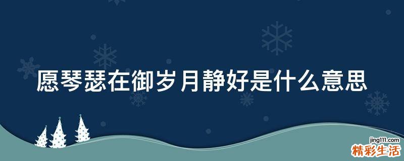 愿琴瑟在御岁月静好是什么意思