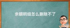 余额明细怎么删除不了