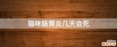 猫咪肠胃炎几天会死