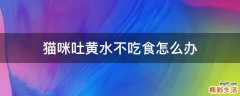 猫咪吐黄水不吃食怎么办