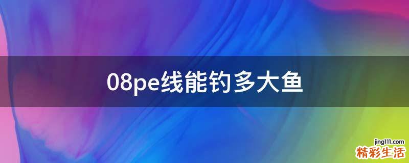 0.8pe线能钓多大鱼