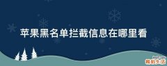 苹果黑名单拦截信息在哪里看