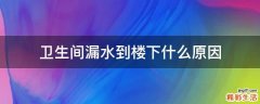 卫生间漏水到楼下什么原因