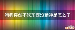 狗狗突然不吃东西没精神是怎么了