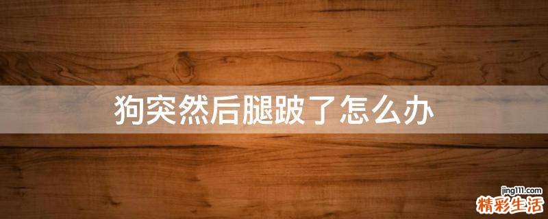 狗突然后腿跛了怎么办